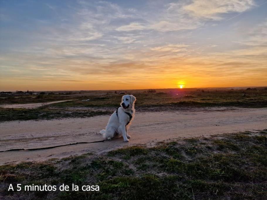 Primera Planta Completa, El Alamo El Álamo Exterior foto