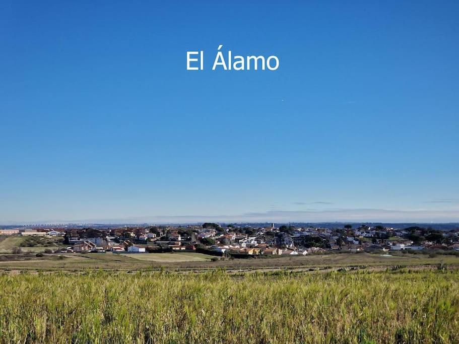 Primera Planta Completa, El Alamo El Álamo Exterior foto
