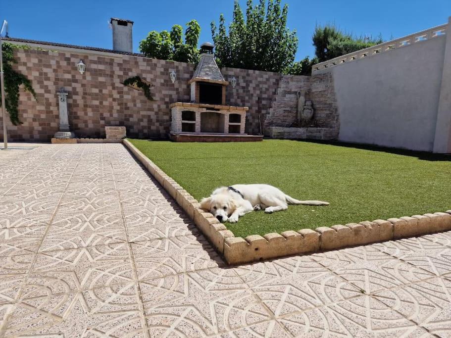 Primera Planta Completa, El Alamo El Álamo Exterior foto